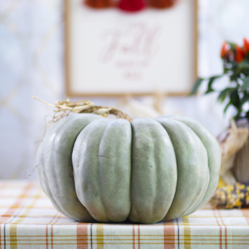 jarrahdale pumpkin