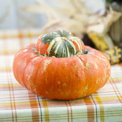 ornament gourds