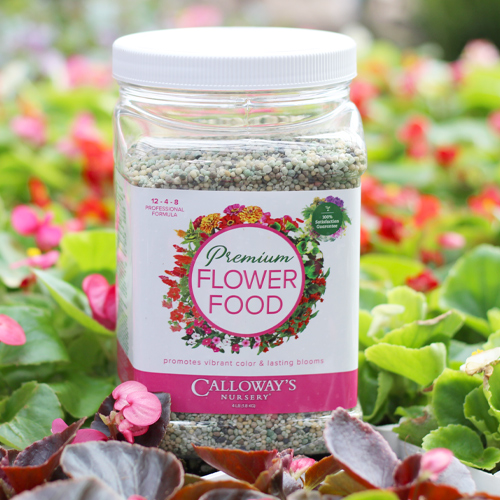 flower food