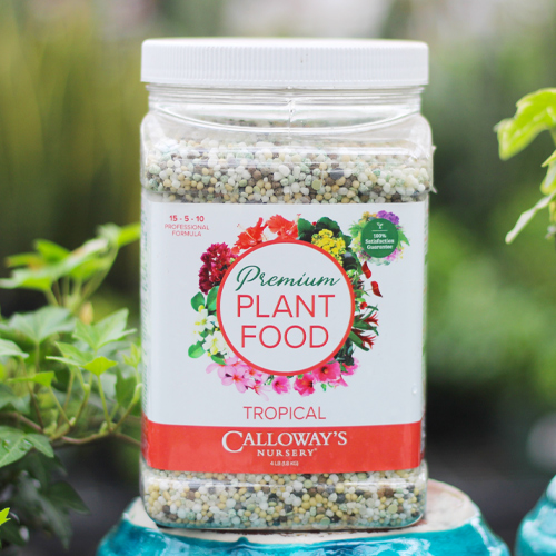 tropical plant food