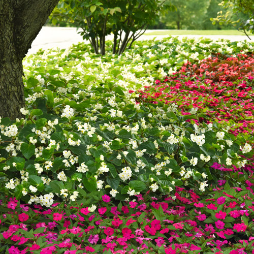 spring gardening