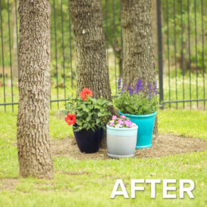 backyard with container gardens