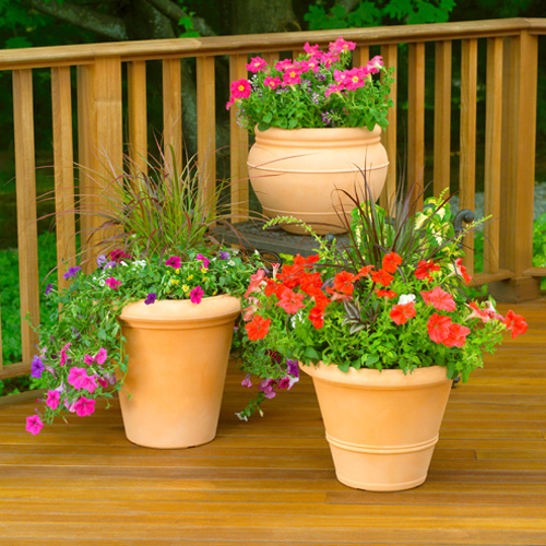 terra cotta container gardens