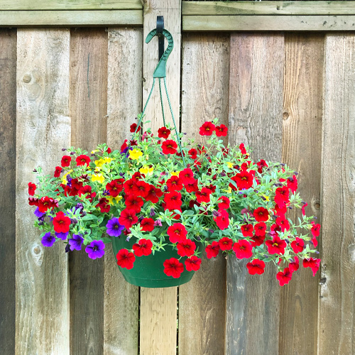 hanging basket on fence