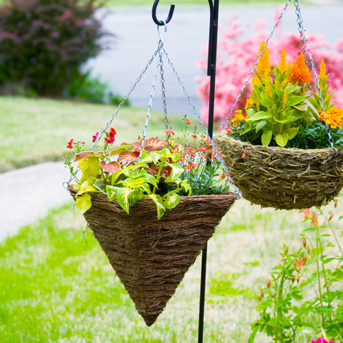 DIY hanging baskets