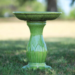 bird bath