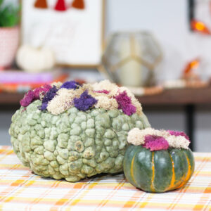 gourds with moss