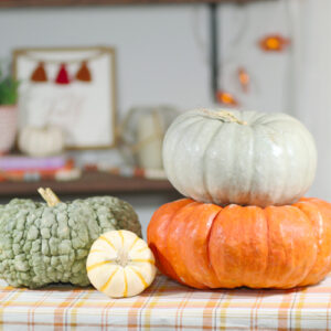 pumpkins