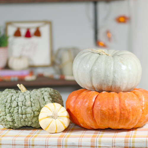 pumpkins