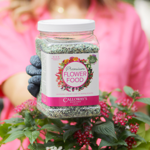 flower food