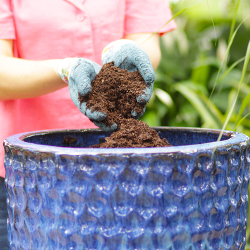 organic potting soil