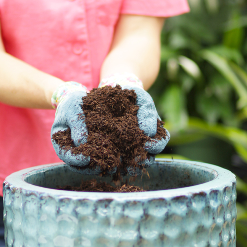 potting soil