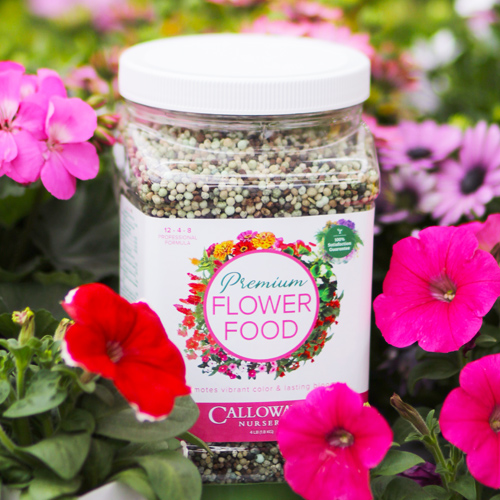 calloways premium flower food