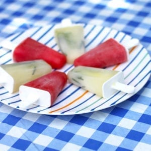 fruit popsicles