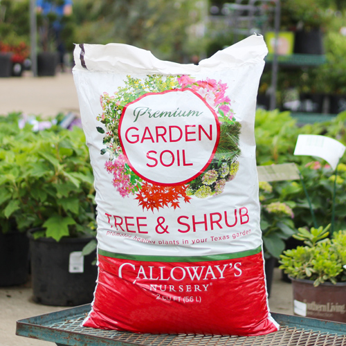 tree shrub soil