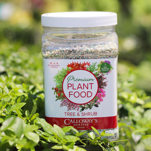 tree and shrub plant food