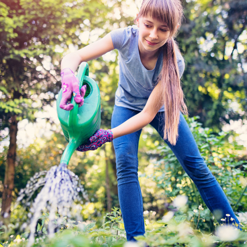 watering plants