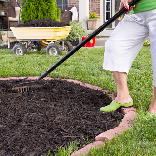 mulch