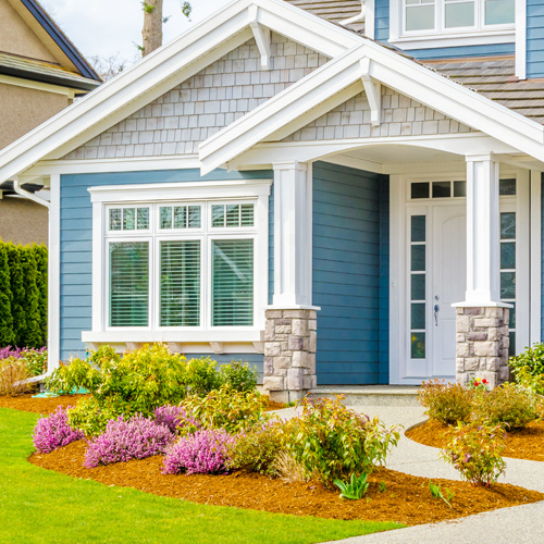 mulched garden