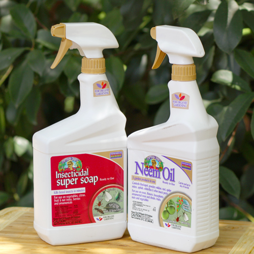 organic pest control