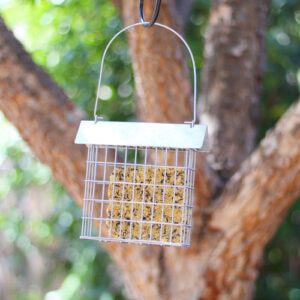 suet feeder