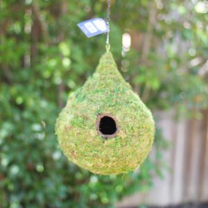 natural bird house
