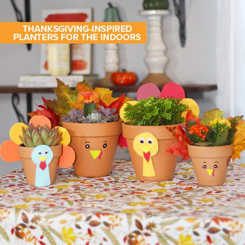 Thanksgiving-Inspired Planters for the Indoors | Calloway's Nursery