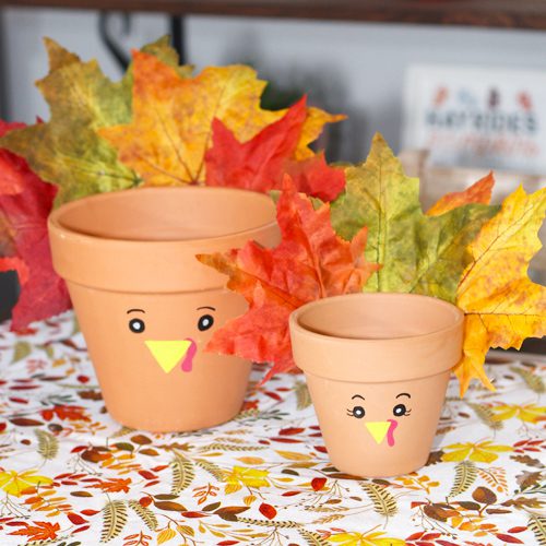 Turkey Thanksgiving-Inspired Planter Ideas for Indoors | Calloway's Nursery