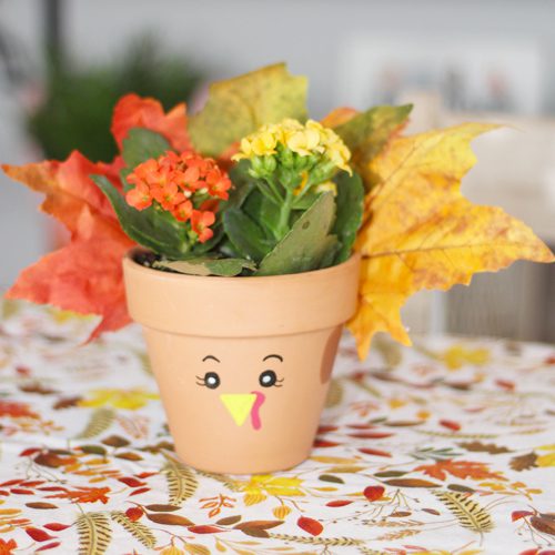 Calloway’s Premium Potting Soil and Kalanchoe Plant in Turkey Pottery for Thanksgiving-Inspired Planter Ideas for Indoors | Calloway's Nursery