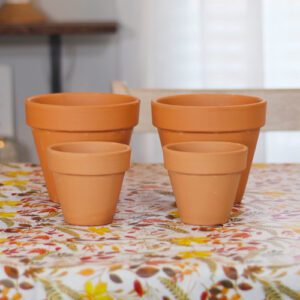 terra cotta pottery