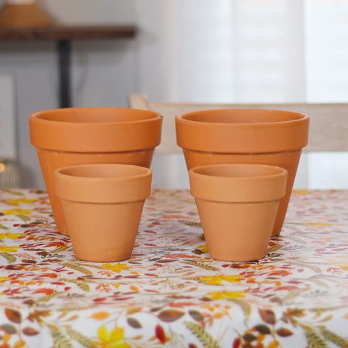 Terra Cotta Pottery for Thanksgiving Planters for the Indoors | Calloway's Nursery