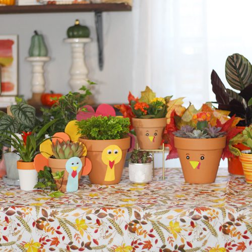 Turkey Pottery Display Tips and Other Indoor Plant Suggestions for Thanksgiving-Inspired Planter Ideas | Calloway's Nursery