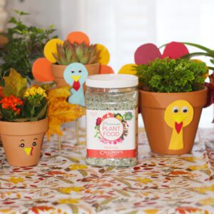 calloway's premium tropical plant food