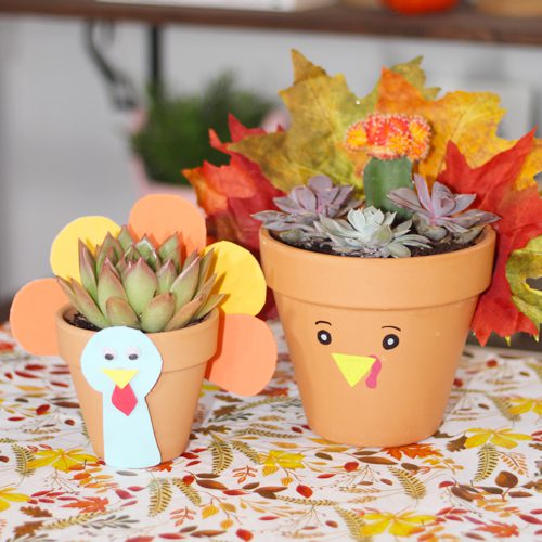 Turkey Pottery for Thanksgiving-Inspired Planter Ideas | Calloway's Nursery
