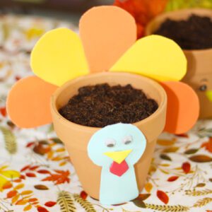 add potting soil