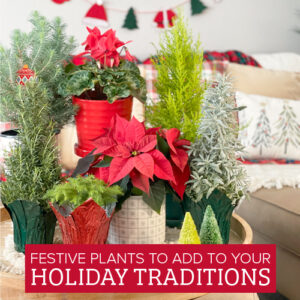 festive accents for the holidays
