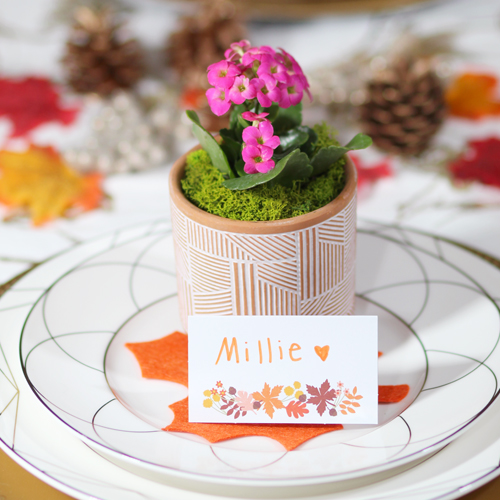 flowers for thanksgiving