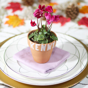 Cyclamen