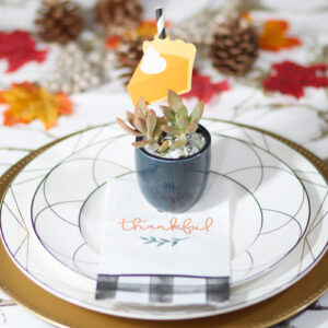 succulent centerpieces