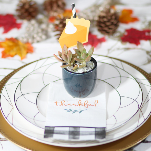 succulent centerpieces