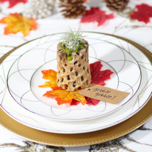 air plant centerpieces