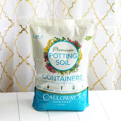 premium potting soil