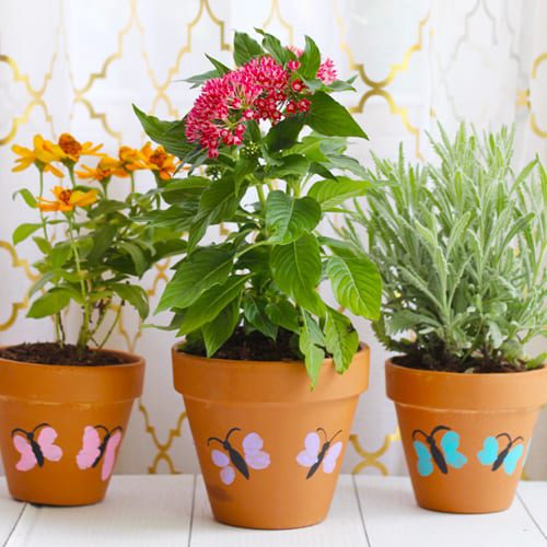 butterfly planter