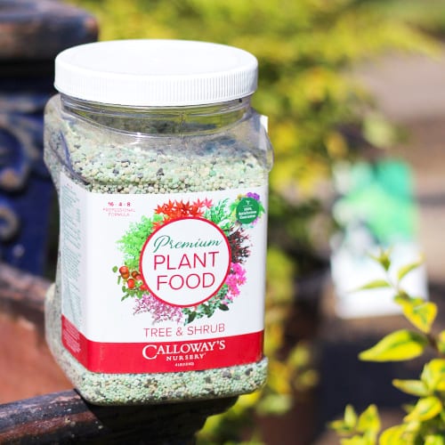 tree and shrub plant food