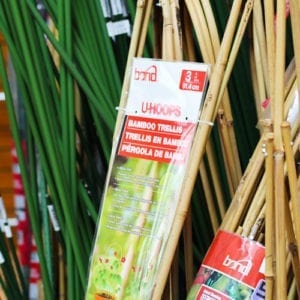 trellis