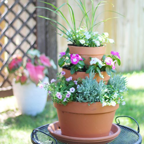 Vertical Planter DIY | Calloway's Nursery