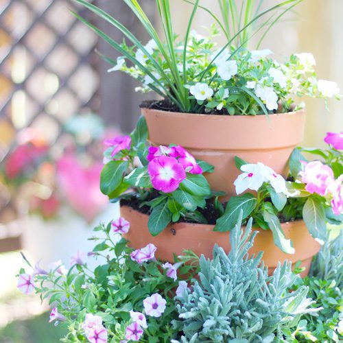 Vertical Planter DIY | Calloway's Nursery