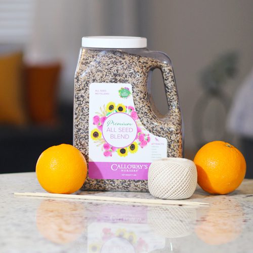 diy bird feeder