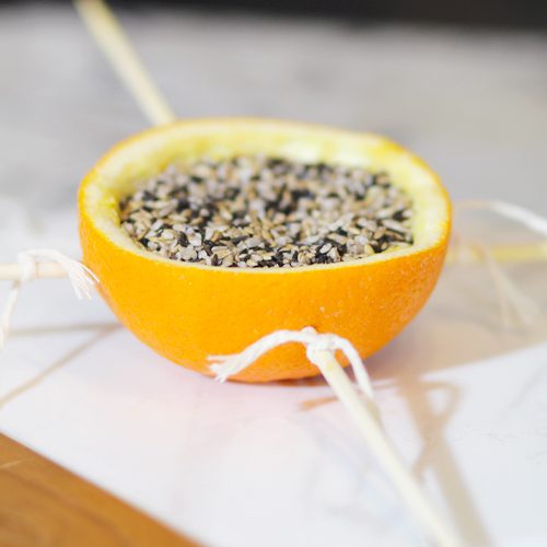 add bird seed