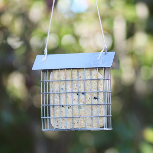 suet cake holder